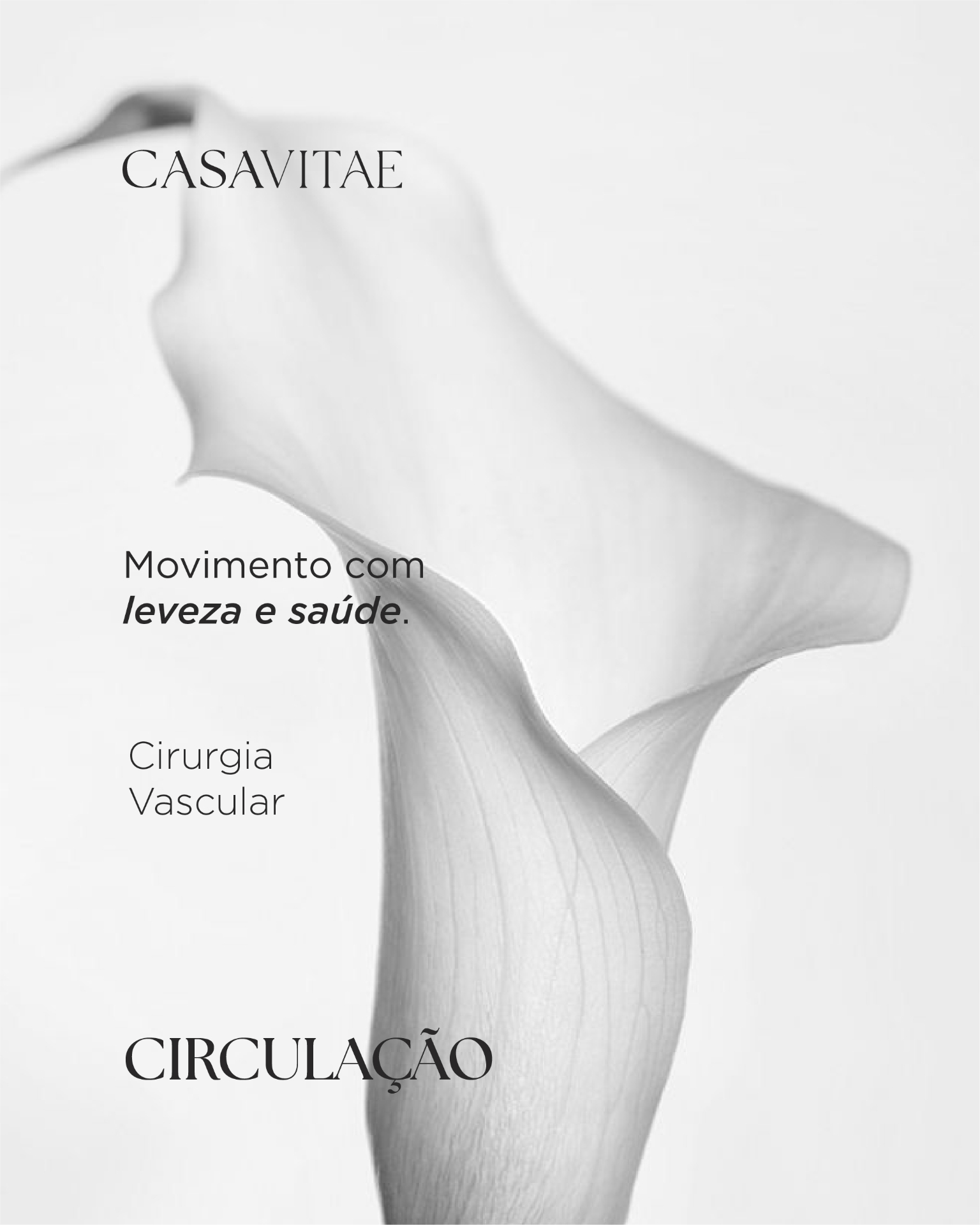 Imagem editorial, copo de cálice, leveza e saúde, pilar Circulação